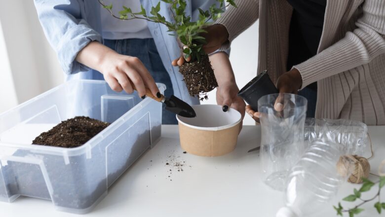 Desvendando o Poder das Plantas na Reciclagem Ambiental